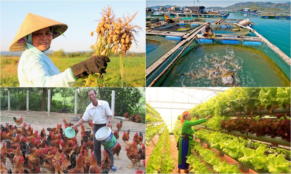 Nông nghiệp công nghệ cao Việt Nam sẽ bứt phá nhờ EVFTA