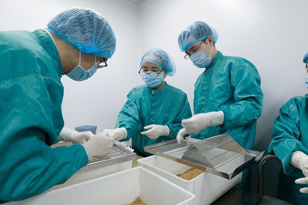 Vắc-xin Covid-19 ‘made in Vietnam’ vượt tiến độ dự kiến