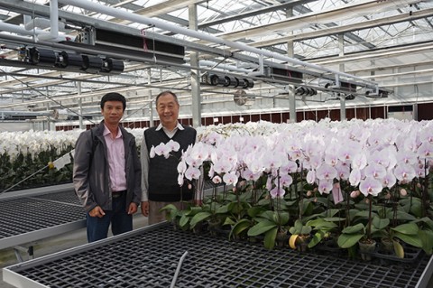 Đài Loan làm thế nào để xây dựng thương hiệu hoa lan trên toàn cầu?