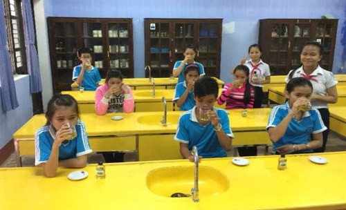 Hết sâu răng với nước súc miệng từ lá bàng non của học sinh Huế