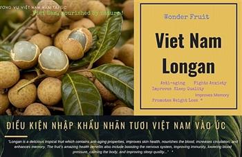 Nhãn tươi Việt Nam được phép xuất khẩu sang Úc