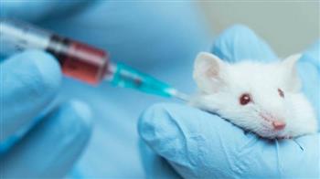 Việt Nam thử nghiệm vắcxin phòng COVID-19 trên chuột