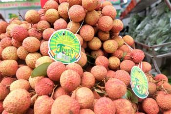 Hà Nội: Sắp diễn ra phiên chợ quảng bá, tiêu thụ vải thiều Thanh Hà và nông sản, thực phẩm an toàn