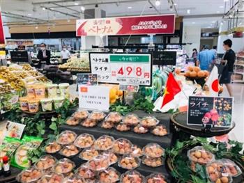 Lô vải thiều tươi xuất Nhật bằng đường biển đã lên kệ siêu thị